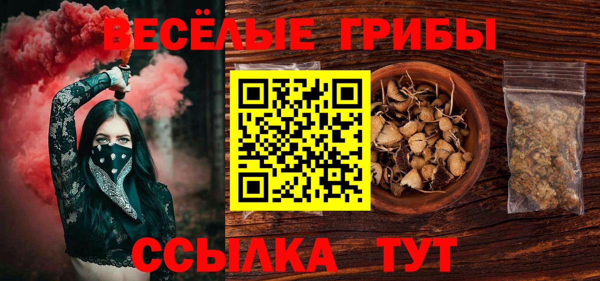 Галлюциногенные грибы Psilocybe Йошкар-Ола