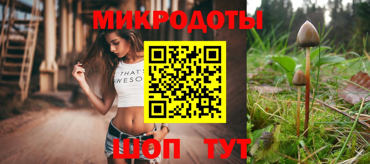 Йошкар-Ола  Псилоцибиновые грибы Psilocybine cubensis  Вход с VPN 